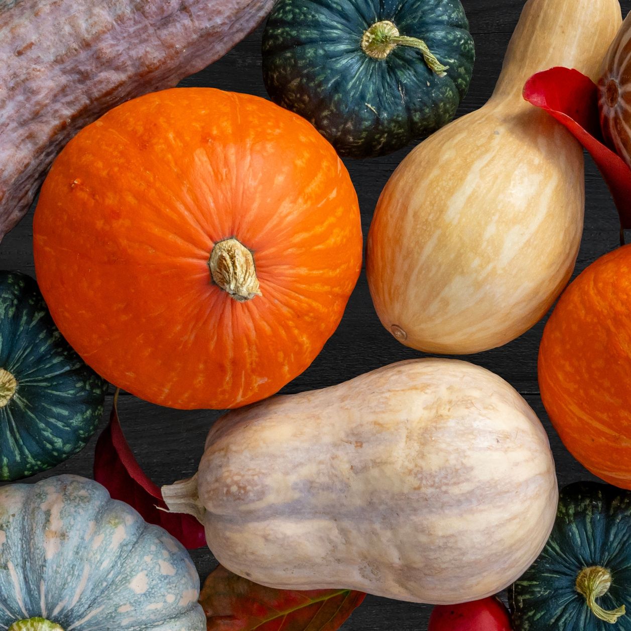 Courges : légumes ou féculents ? Réponse ici !