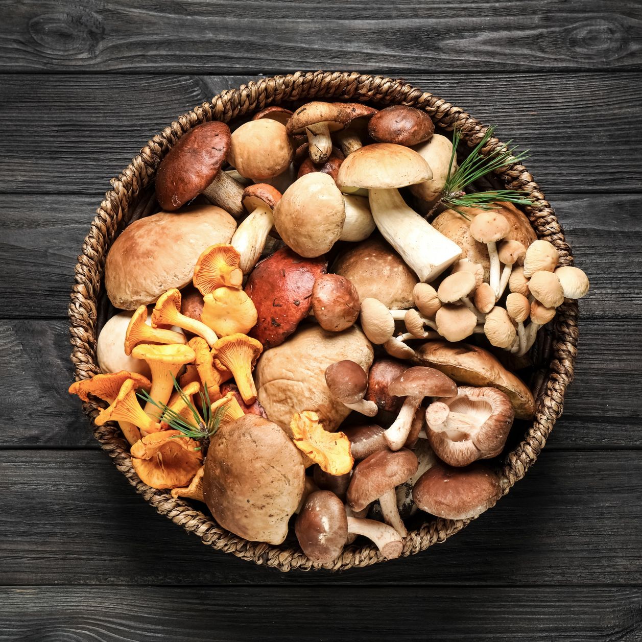 Les bienfaits des champignons sur la santé